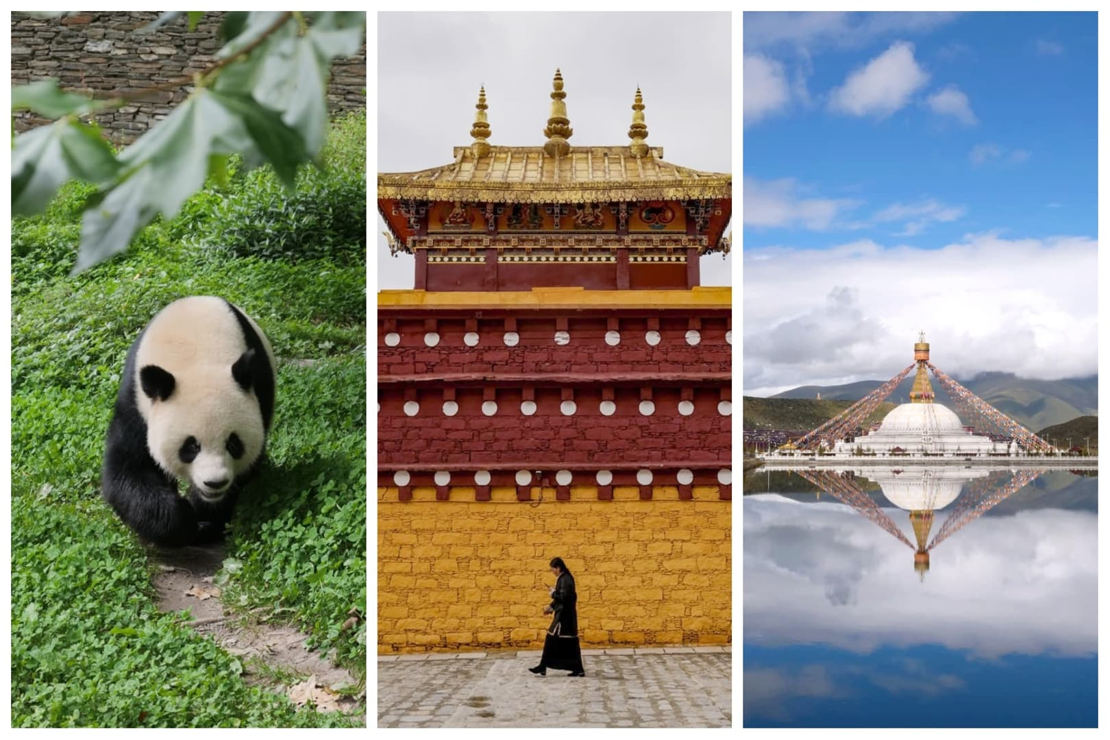 Emma’s Journey Through Qinghai and the Tibetan Plateau with Eastogo