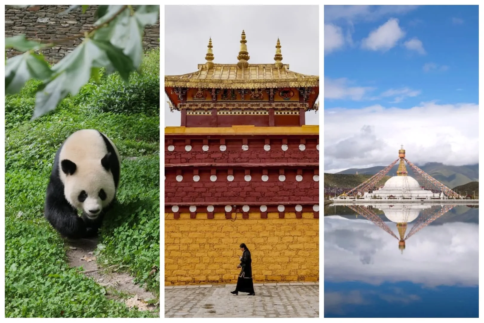 Emma’s Journey Through Qinghai and the Tibetan Plateau with Eastogo