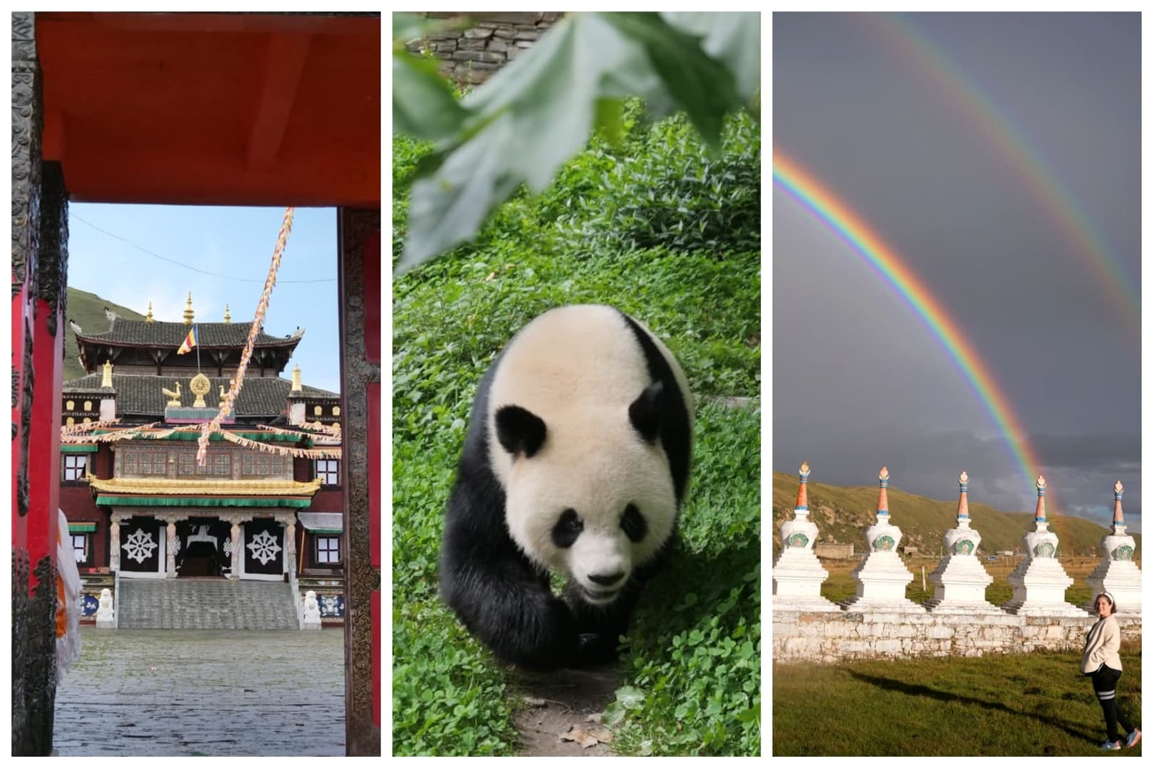 Emma’s Chengdu, Western Sichuan, and Tibetan Plateau Journey with Eastogo