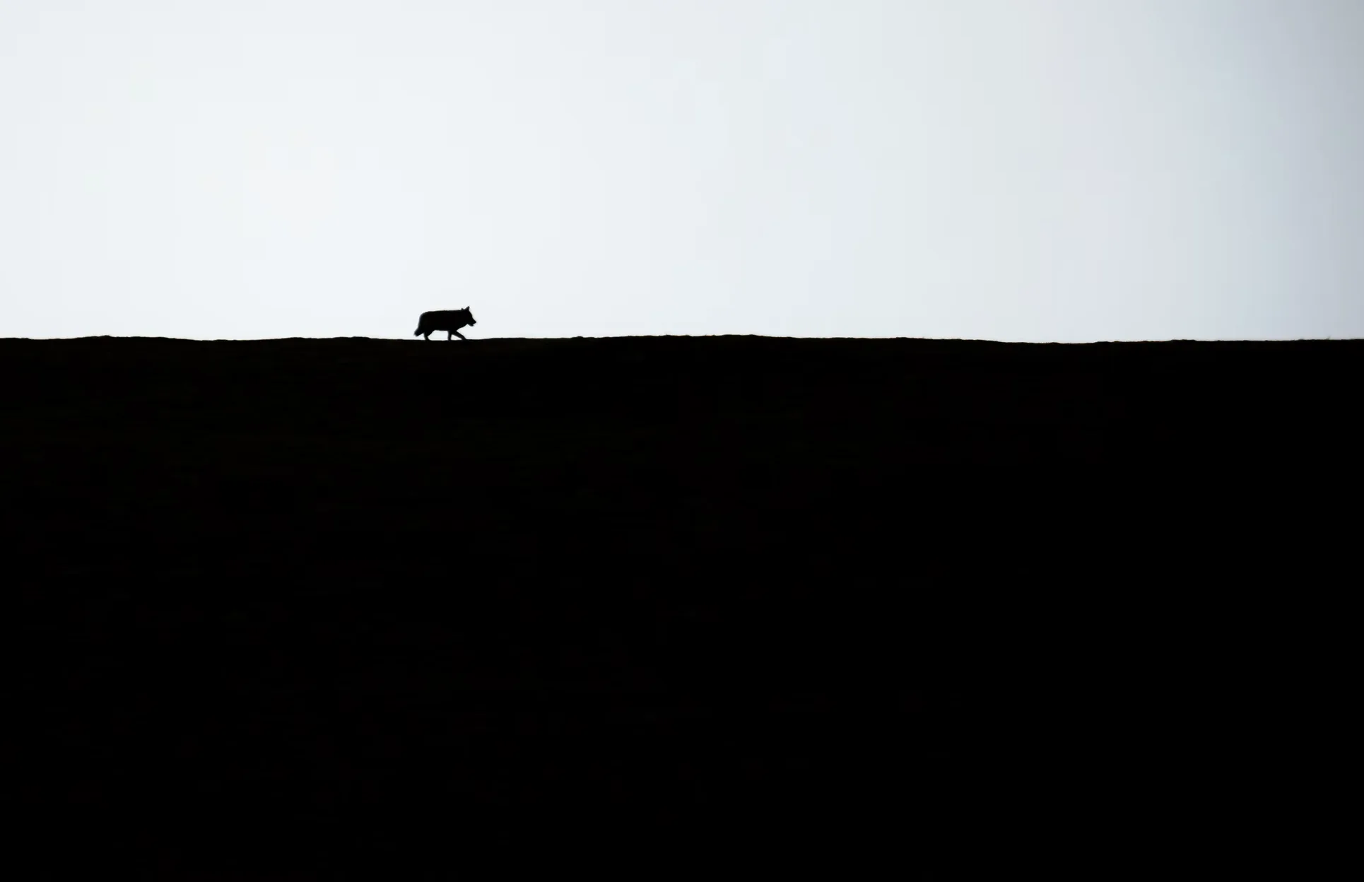 Maarten's Wildlife Photography Journey in Xialaxiu with Eastogo