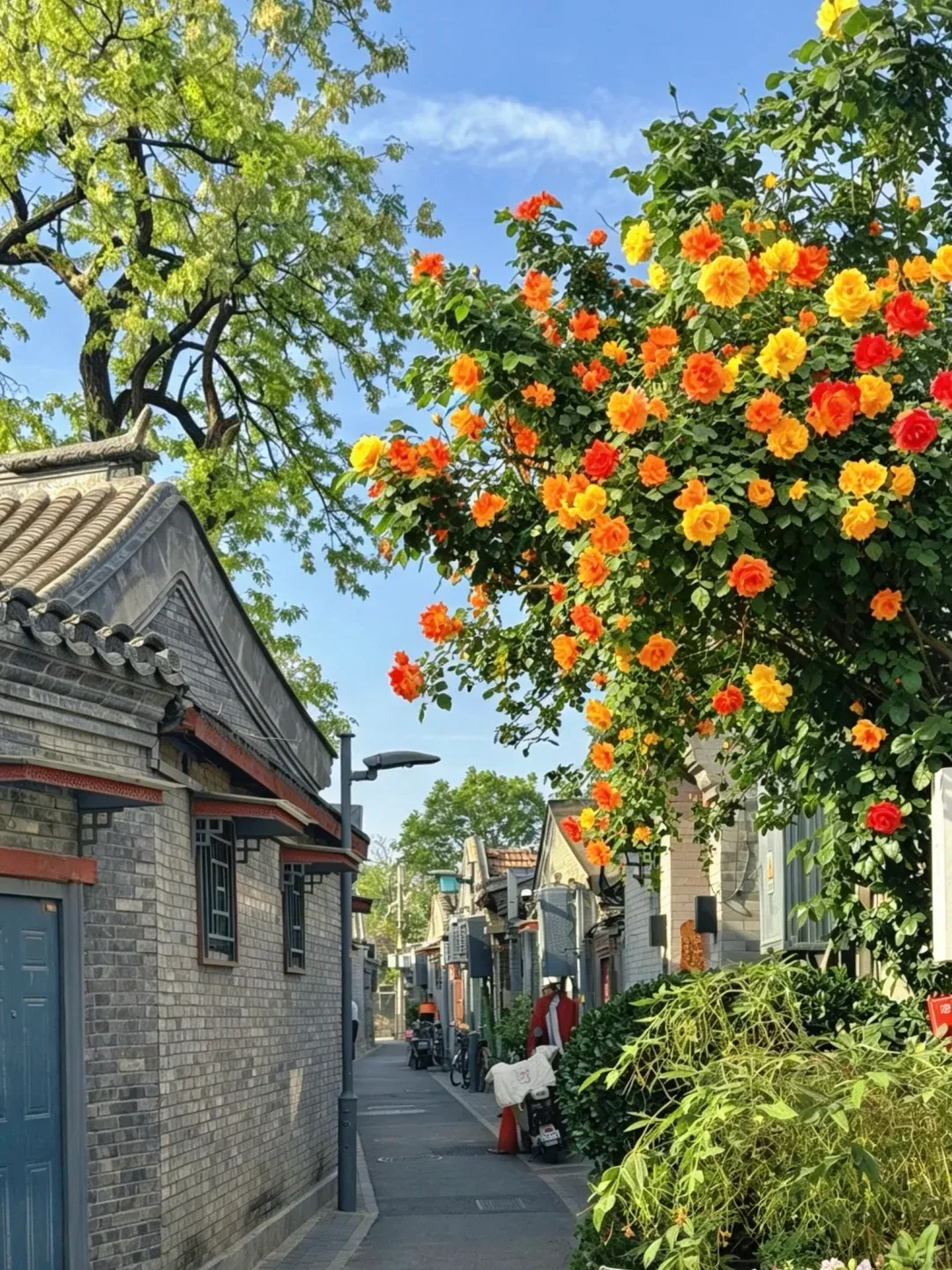 Explore Beijing’s Hutongs by Electric Scooter Ride