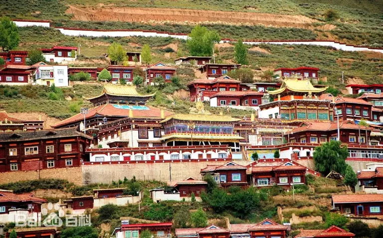 US Nomads' Snow Leopard Expedition Across the Tibetan Plateau with Eastogo