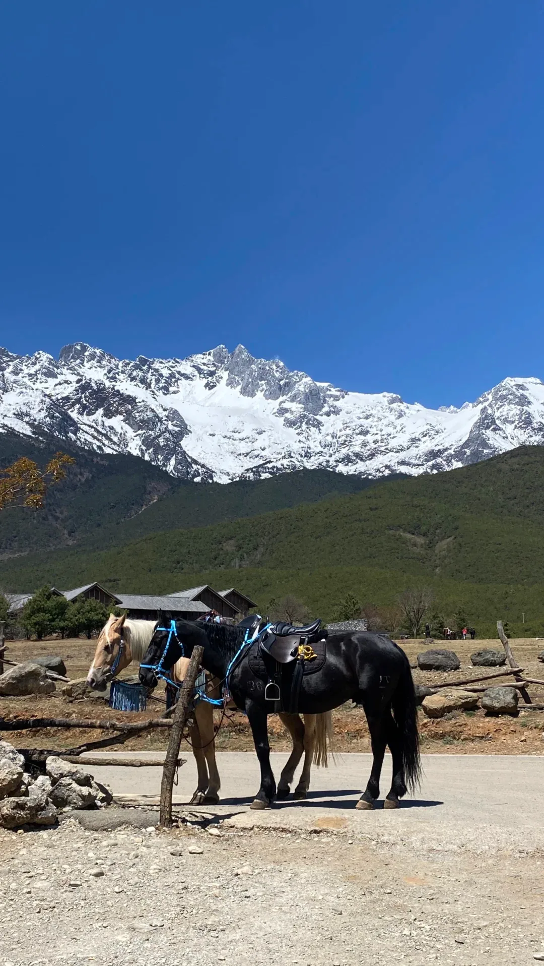 Ride a horse to Snow Mountain in Yunnan