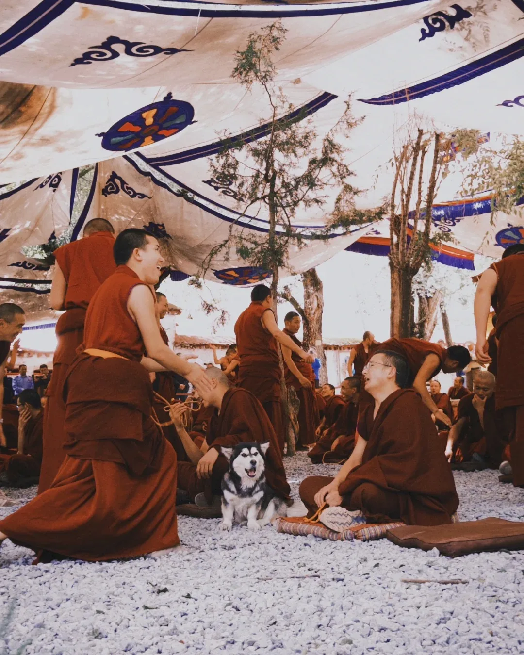 Monk Debates