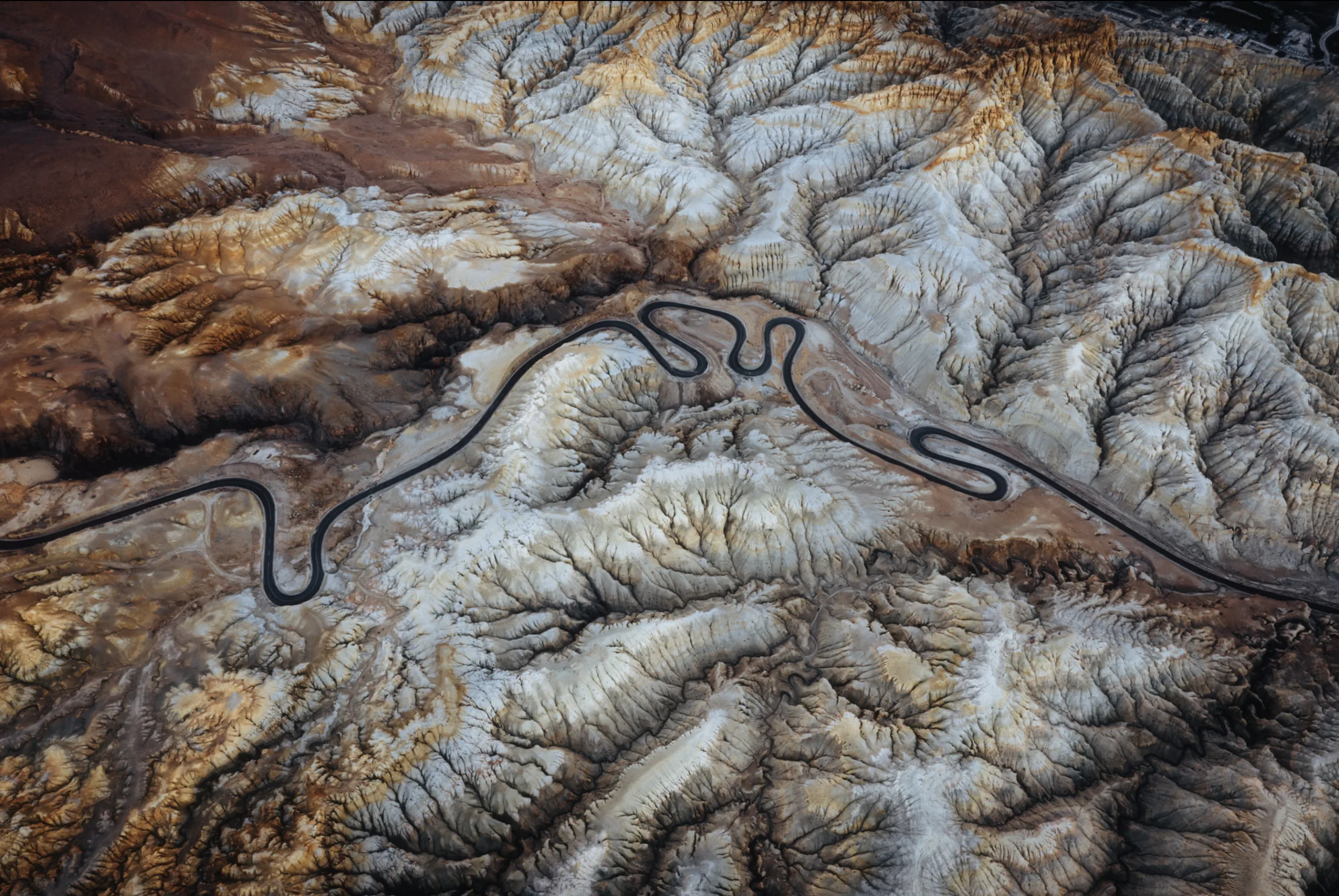Zanda Earth Forest in Tibet