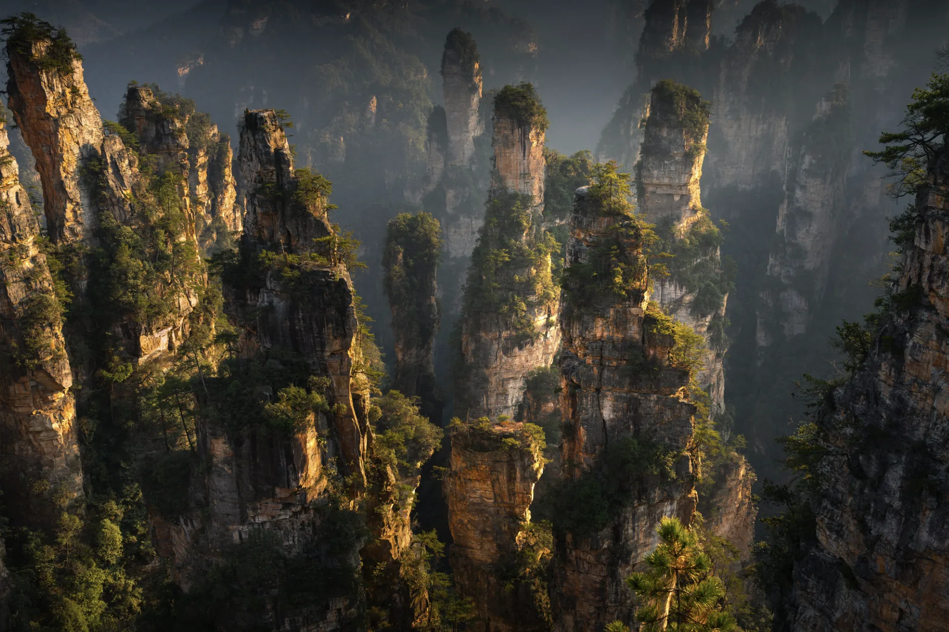 Stand Above the Floating Mountains of Avatar