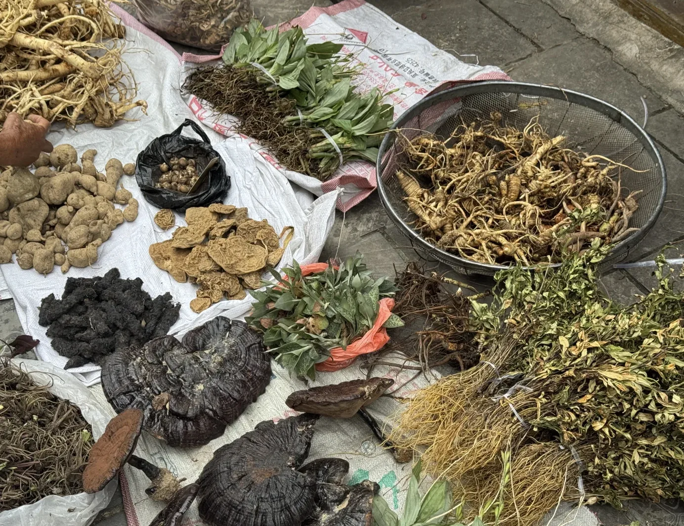 Walk into the Mountains with a Miao Healer