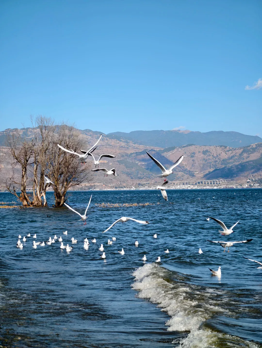 Erhai Lake