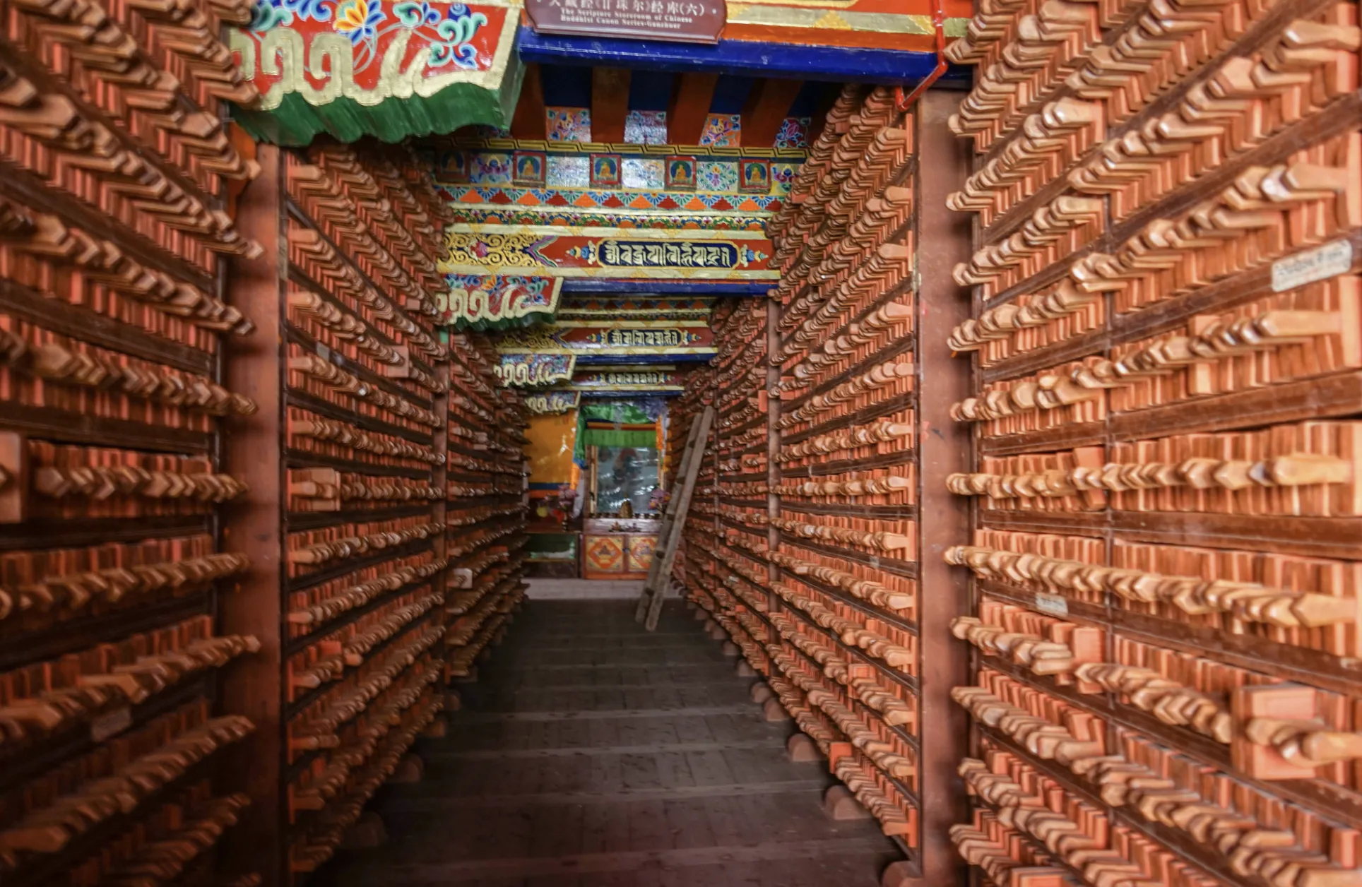Dege Parkhang, printing house
