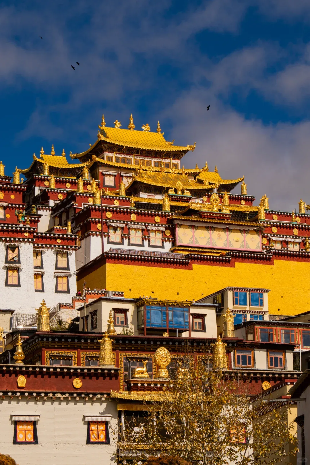 Songzanlin Monastery