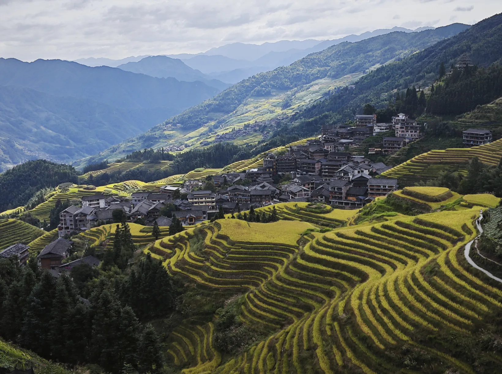 Walk the Longji Rice Terraces