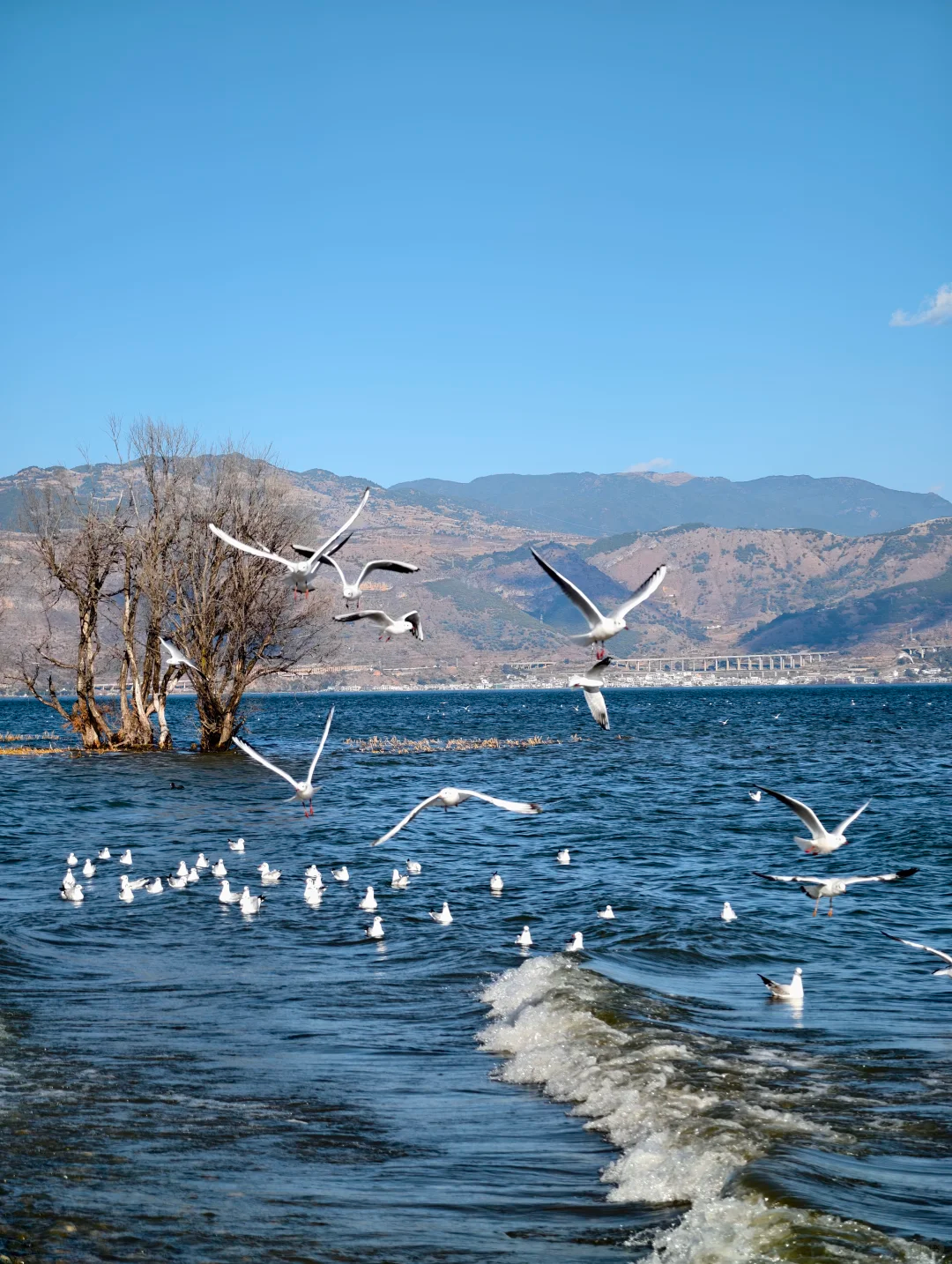 Erhai Lake
