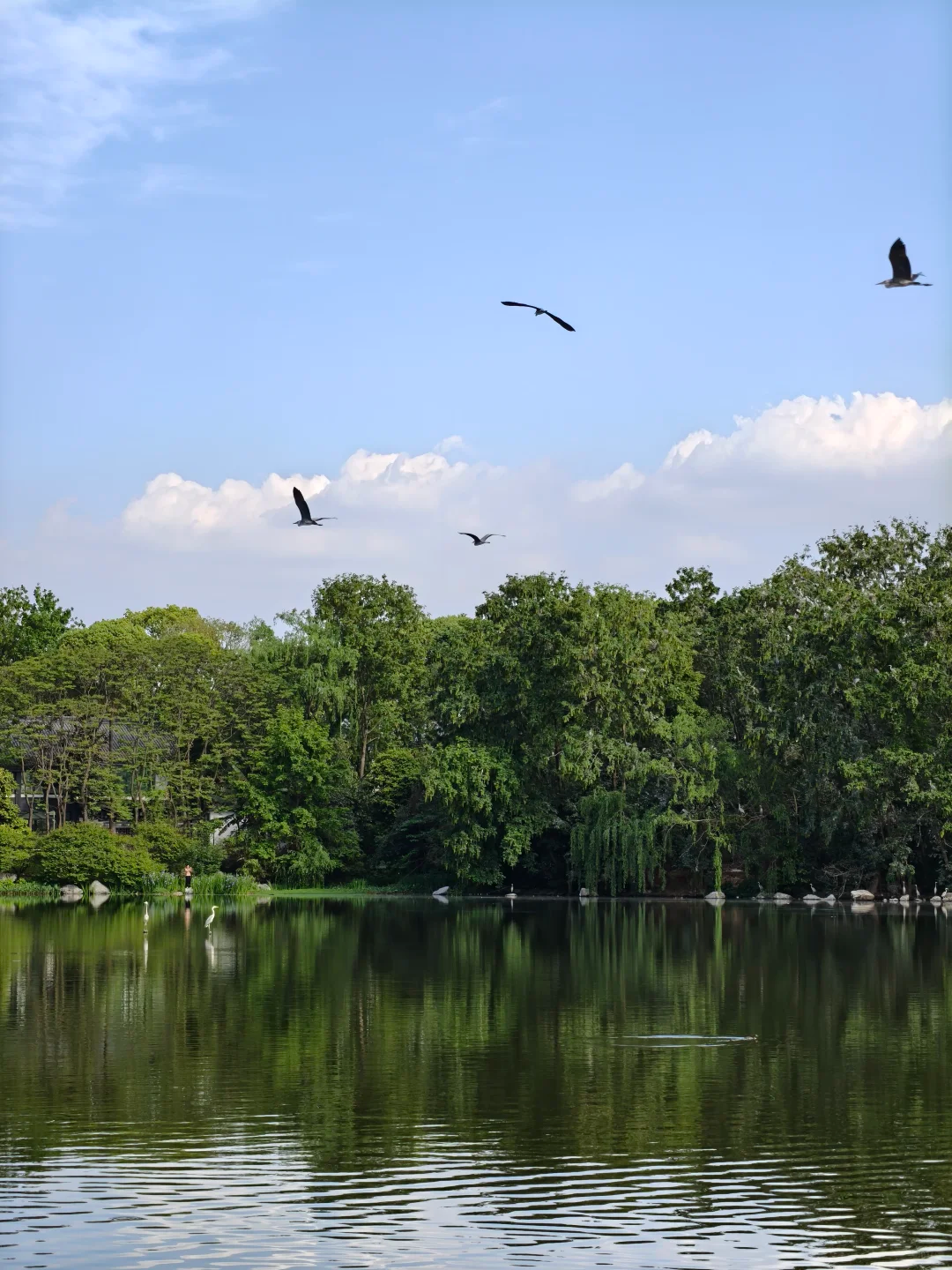 Huanhuaxi Park in Chengdu