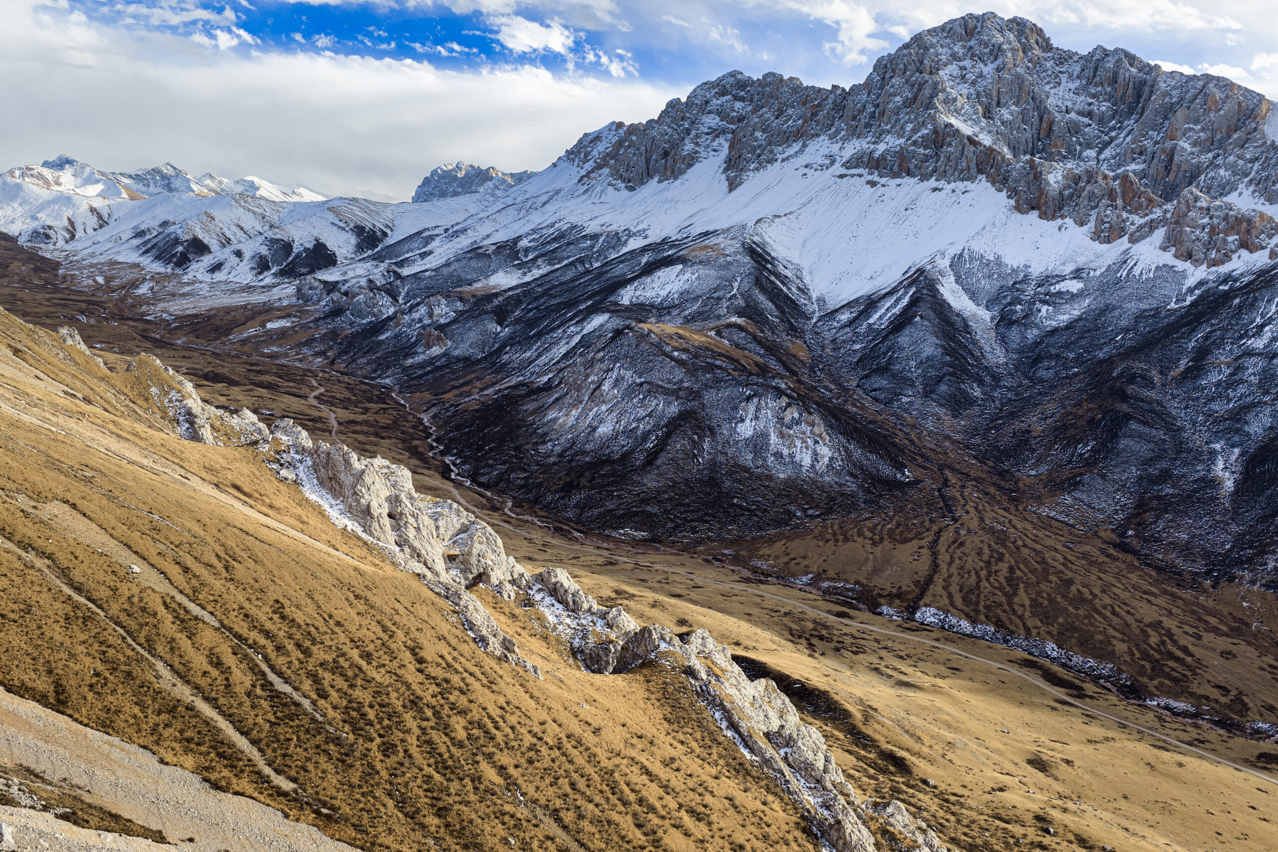 What Do Snow Leopards Eat? An Educational Guide snow_leopard_habitat