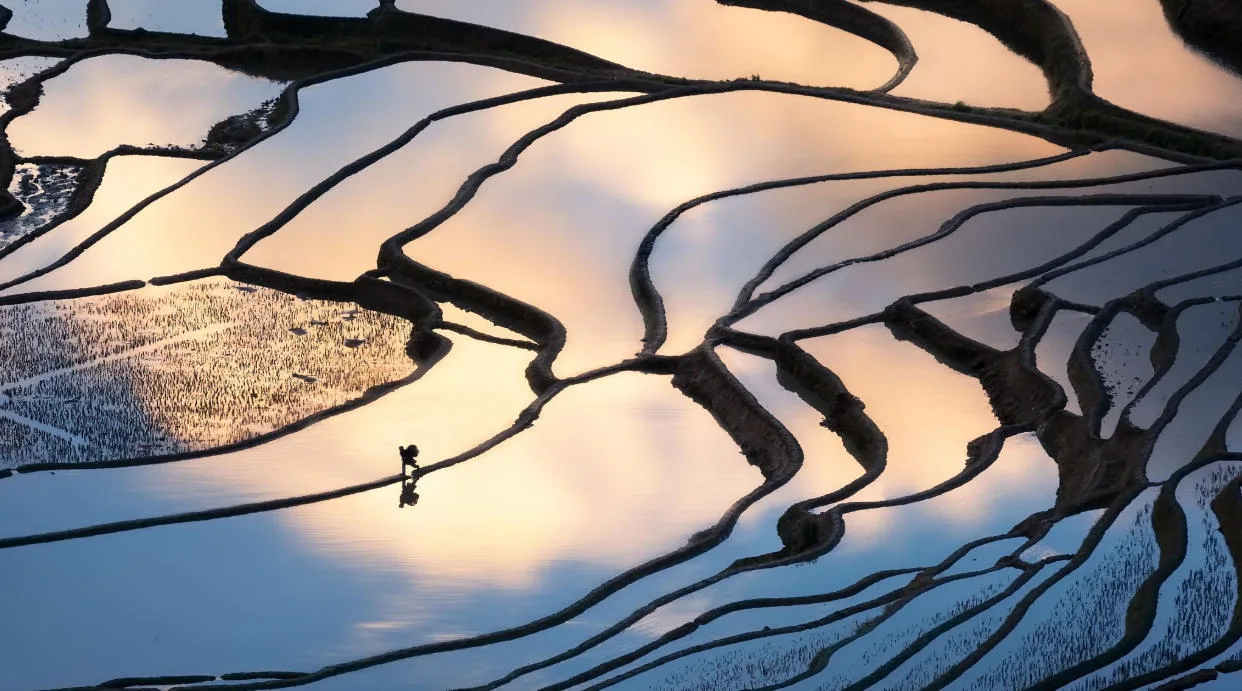 Zhaoxing Dong Village, Guizhou: Travel Guide, Things to Do and Cultural Experiences Rice terraces filled with water during the irrigation season, reflecting the sky and surrounding hills in Guizhou.
