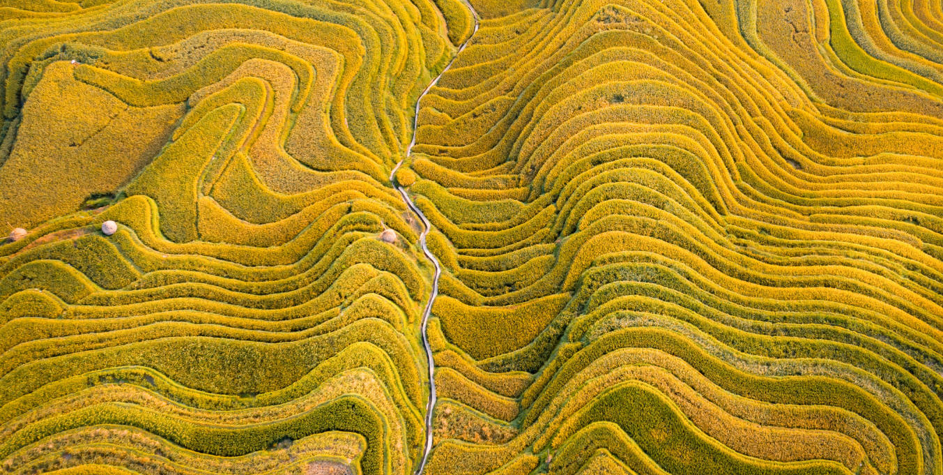 Jiabang Rice Terraces in Autumn