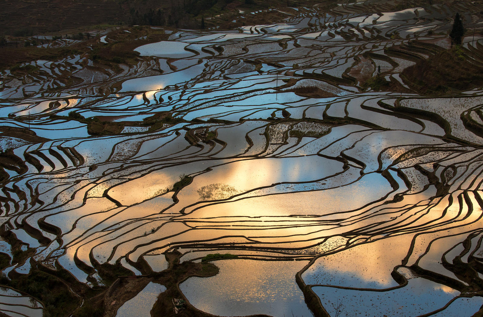 Rice Terraces During Irrigation Season reflecting the sky and mountains.