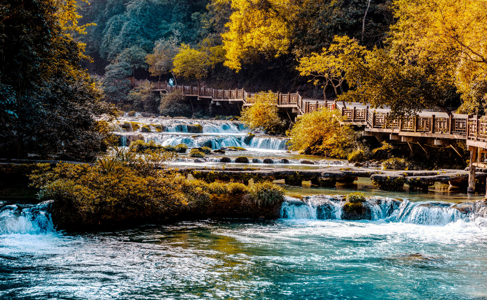 Wooden walkway winding through the forest and alongside clear streams in Libo's karst landscape.