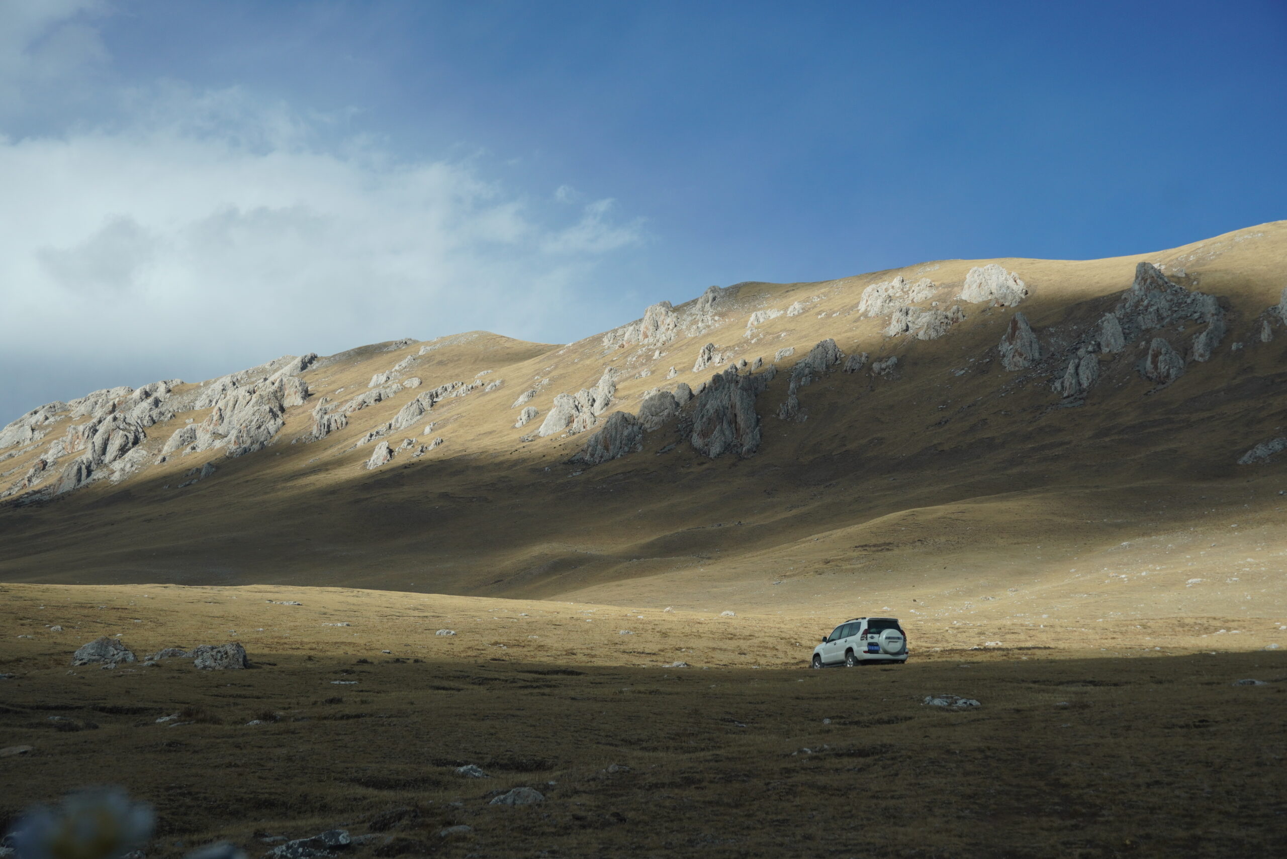 snow_leopard_habitat_xialaxiu2