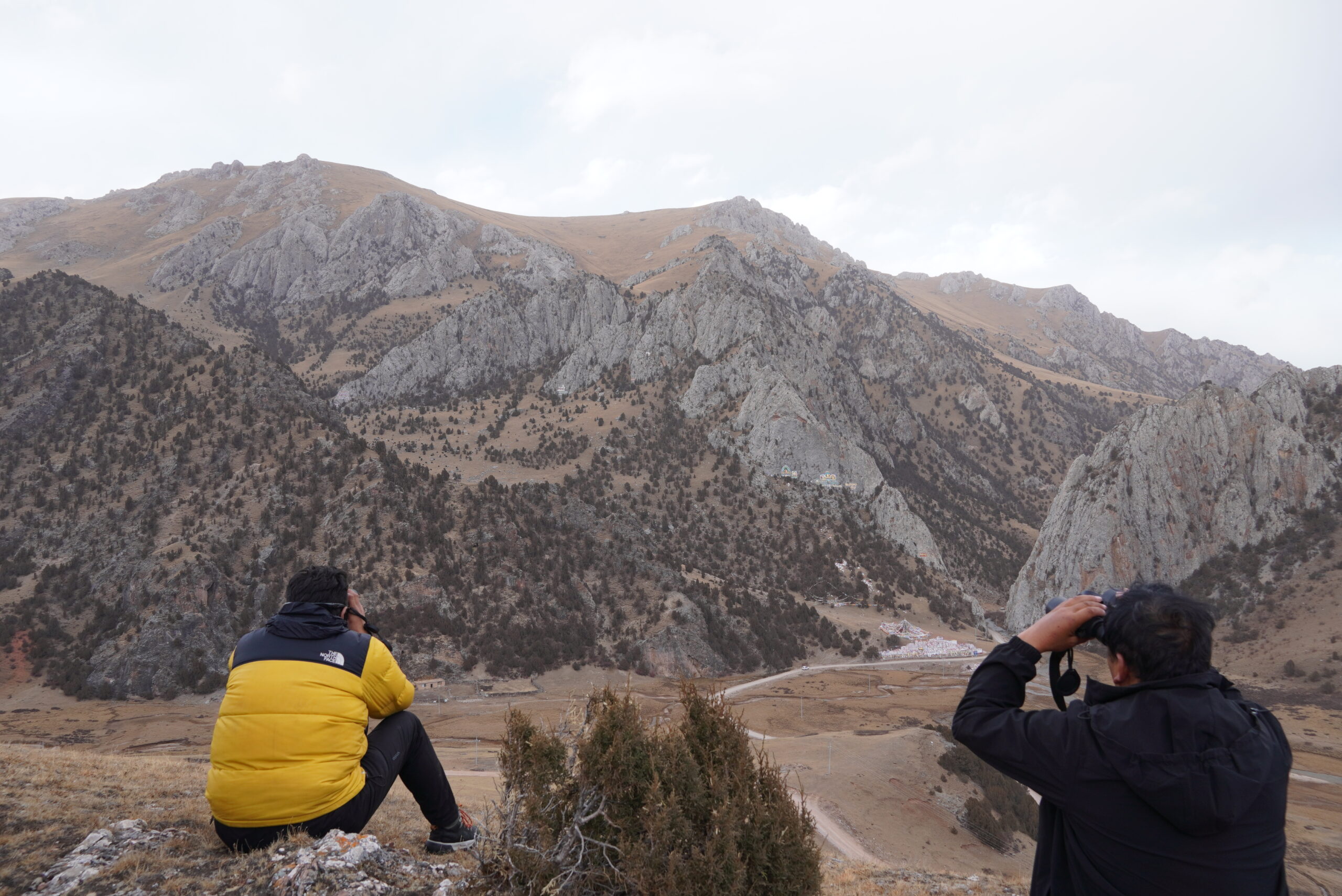 local_guide_tracking_snow_leopard
