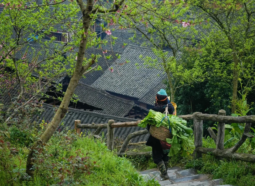 Mountain Path in Huanggang Dong Village