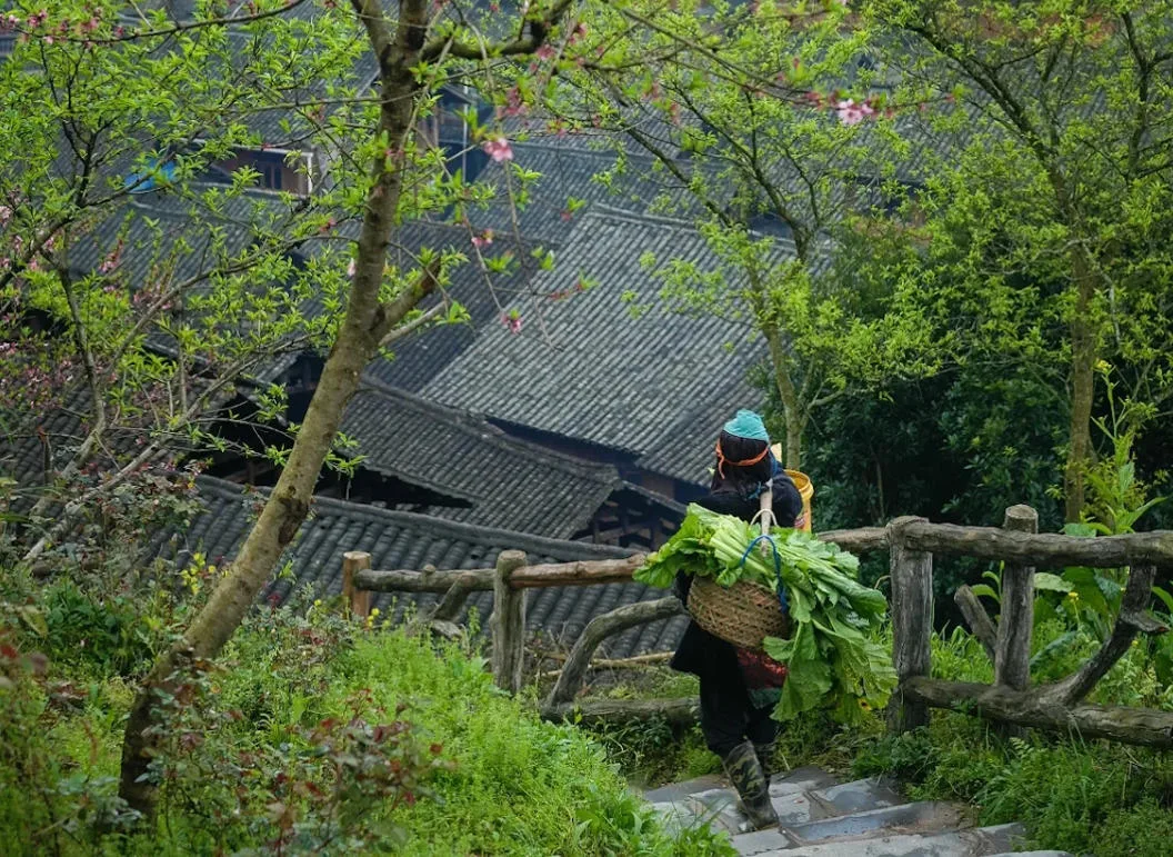 Huanggang Dong Village: One of the Best Dong Villages to Visit in Guizhou Mountain Path in Huanggang Dong Village
