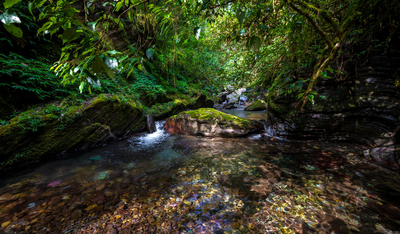 Yamugou Forest Park in Summer