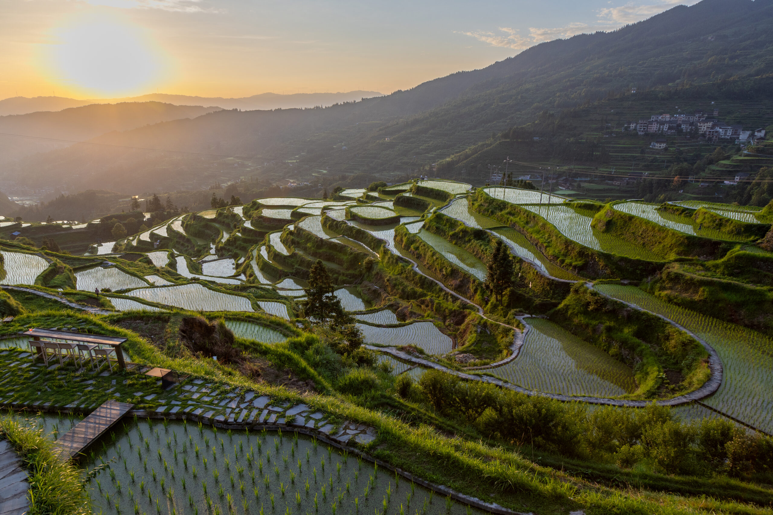 Rice Terraces at the End of Irrigation Season