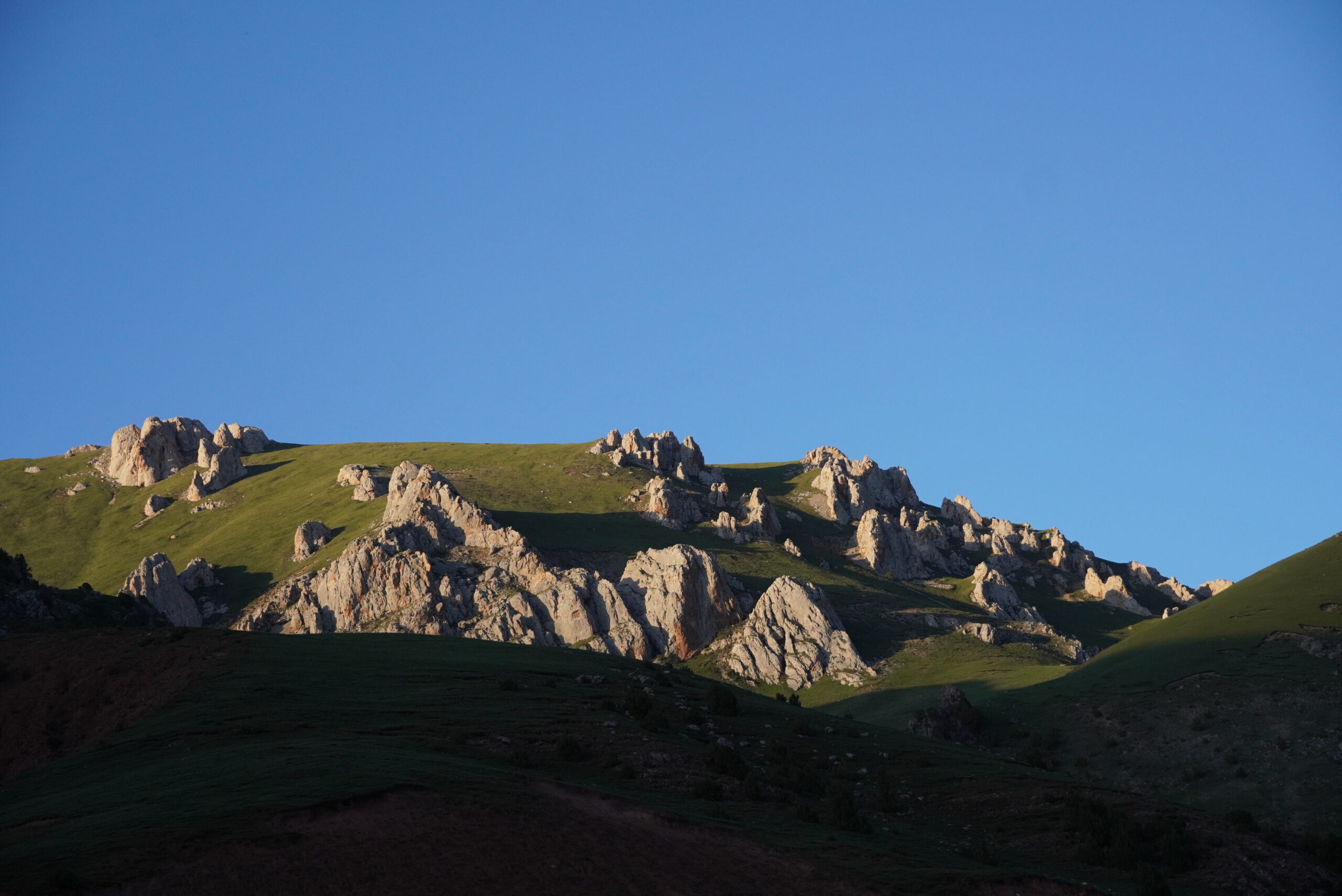 How Much Snow Leopards Are Left in the World? Population, Range, and Conservation Status snow_leopard_habitat