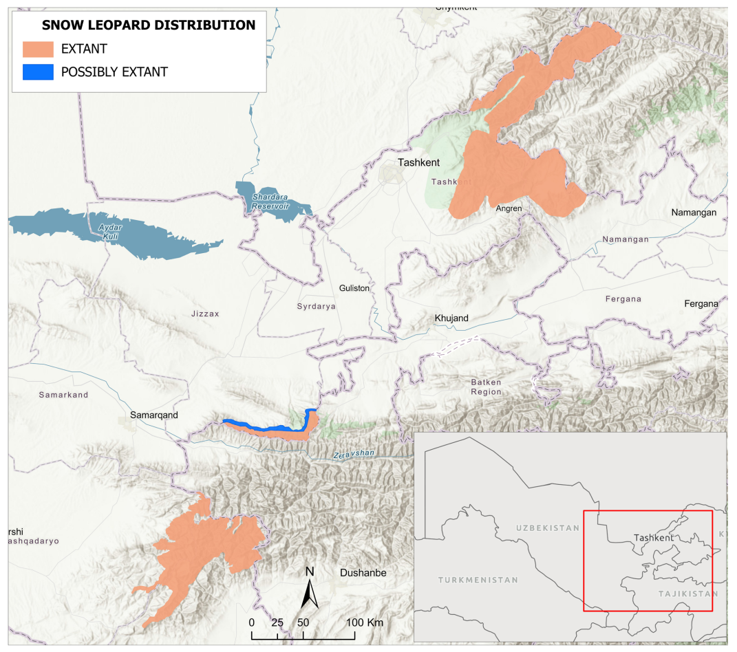 How Much Snow Leopards Are Left in the World? Population, Range, and Conservation Status Snow Leopard Distribution in Uzbekistan