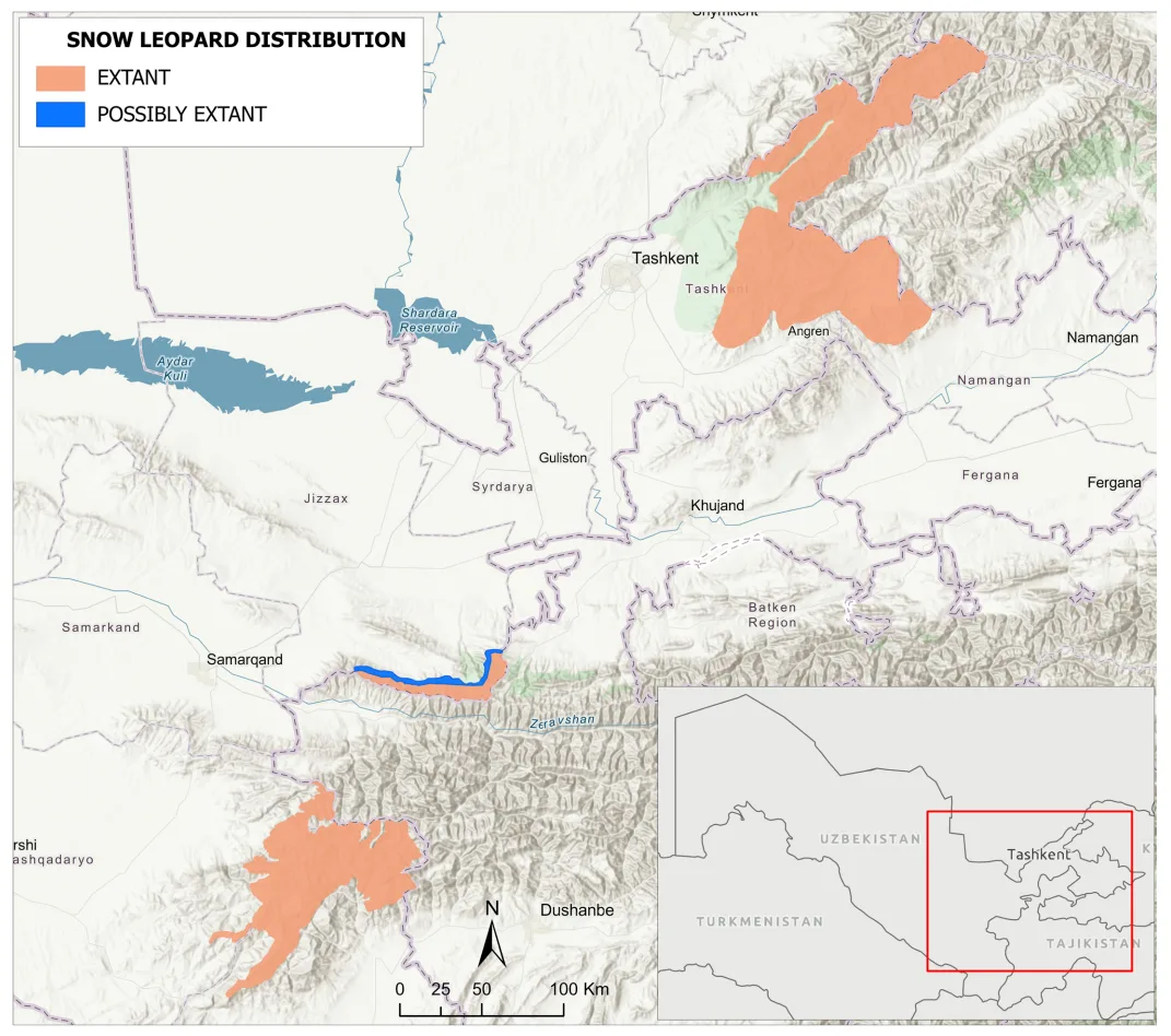 How Much Snow Leopards Are Left in the World? Population, Range, and Conservation Status Snow Leopard Distribution in Uzbekistan