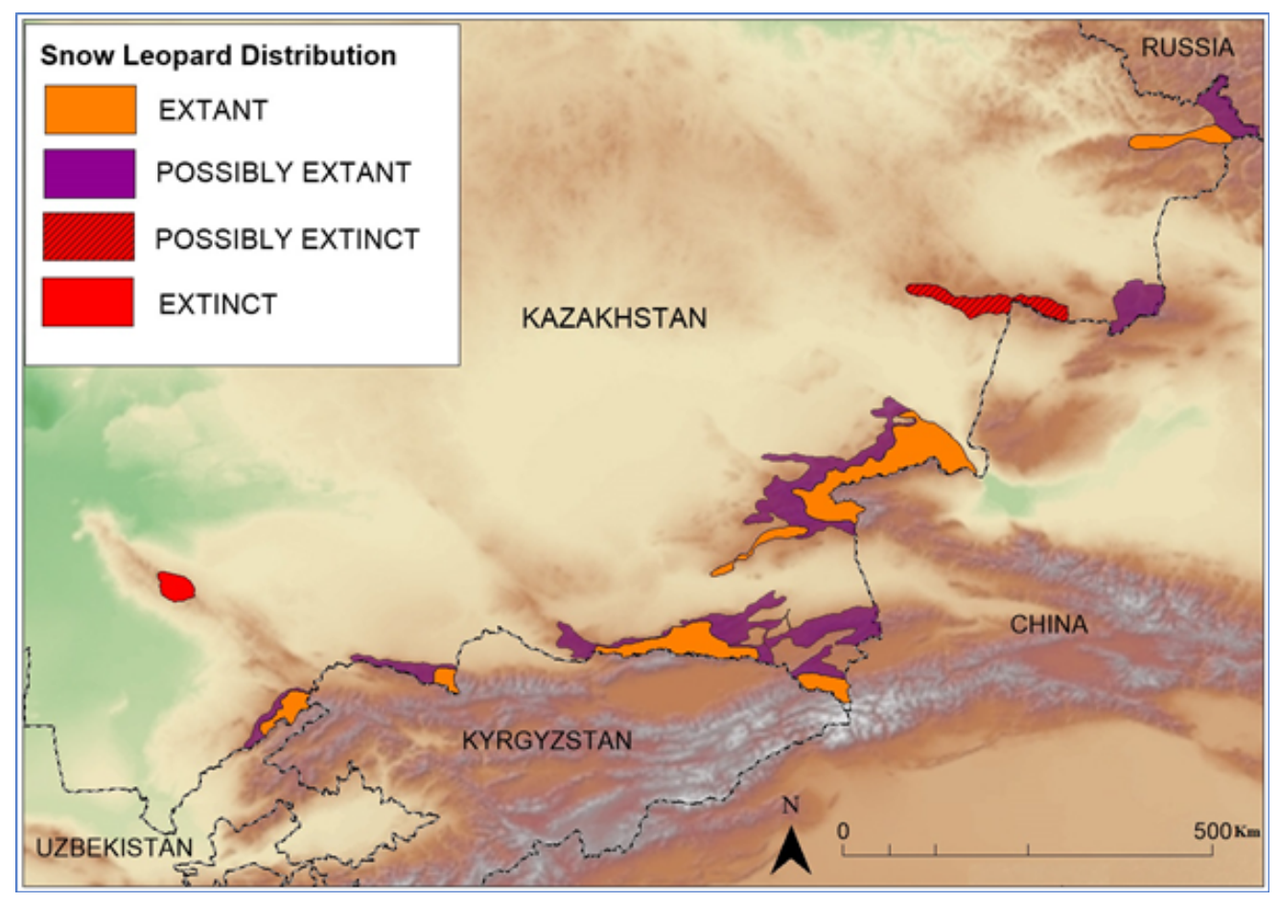 How Much Snow Leopards Are Left in the World? Population, Range, and Conservation Status Snow Leopard Distribution in Kazakhstan