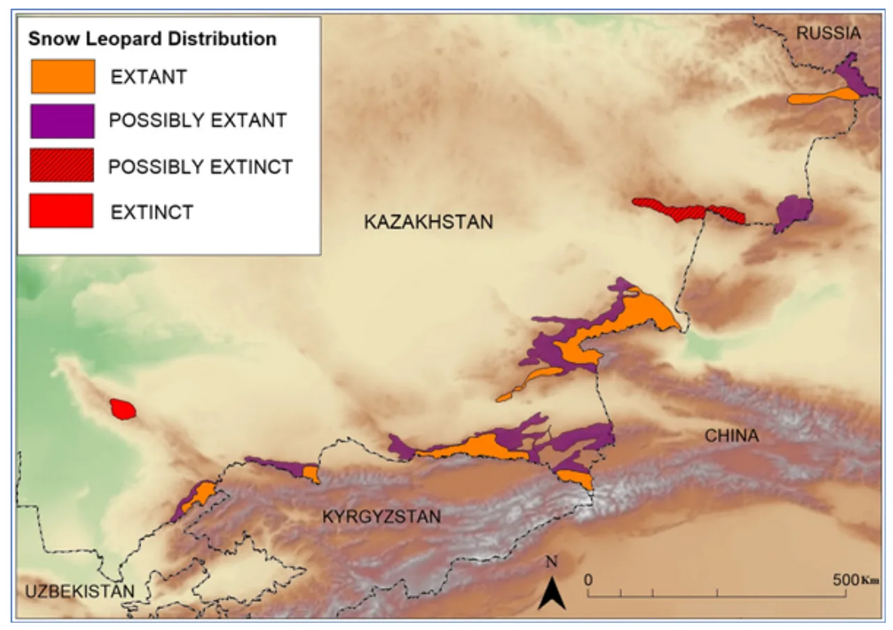 How Much Snow Leopards Are Left in the World? Population, Range, and Conservation Status Snow Leopard Distribution in Kazakhstan