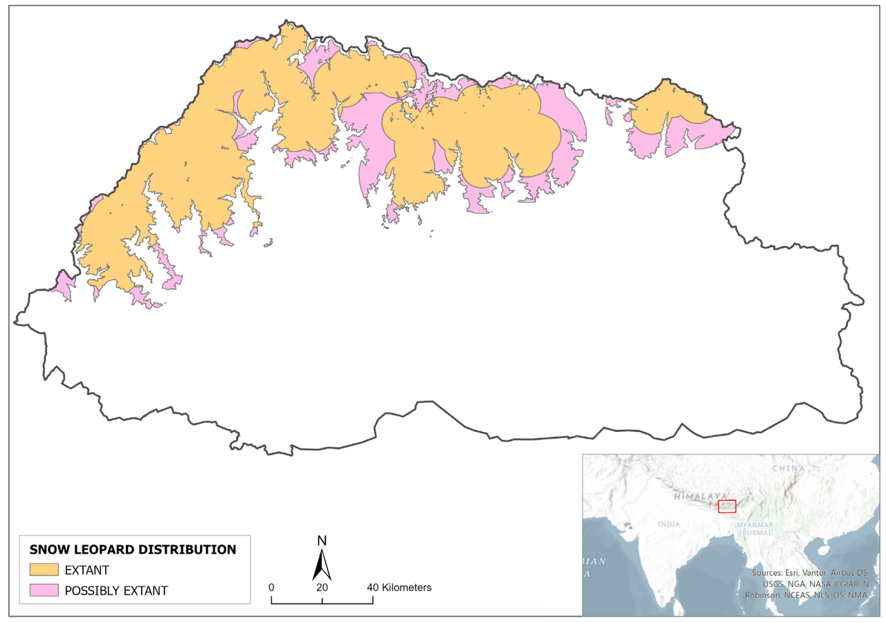 How Much Snow Leopards Are Left in the World? Population, Range, and Conservation Status Snow Leopard Distribution in Bhutan