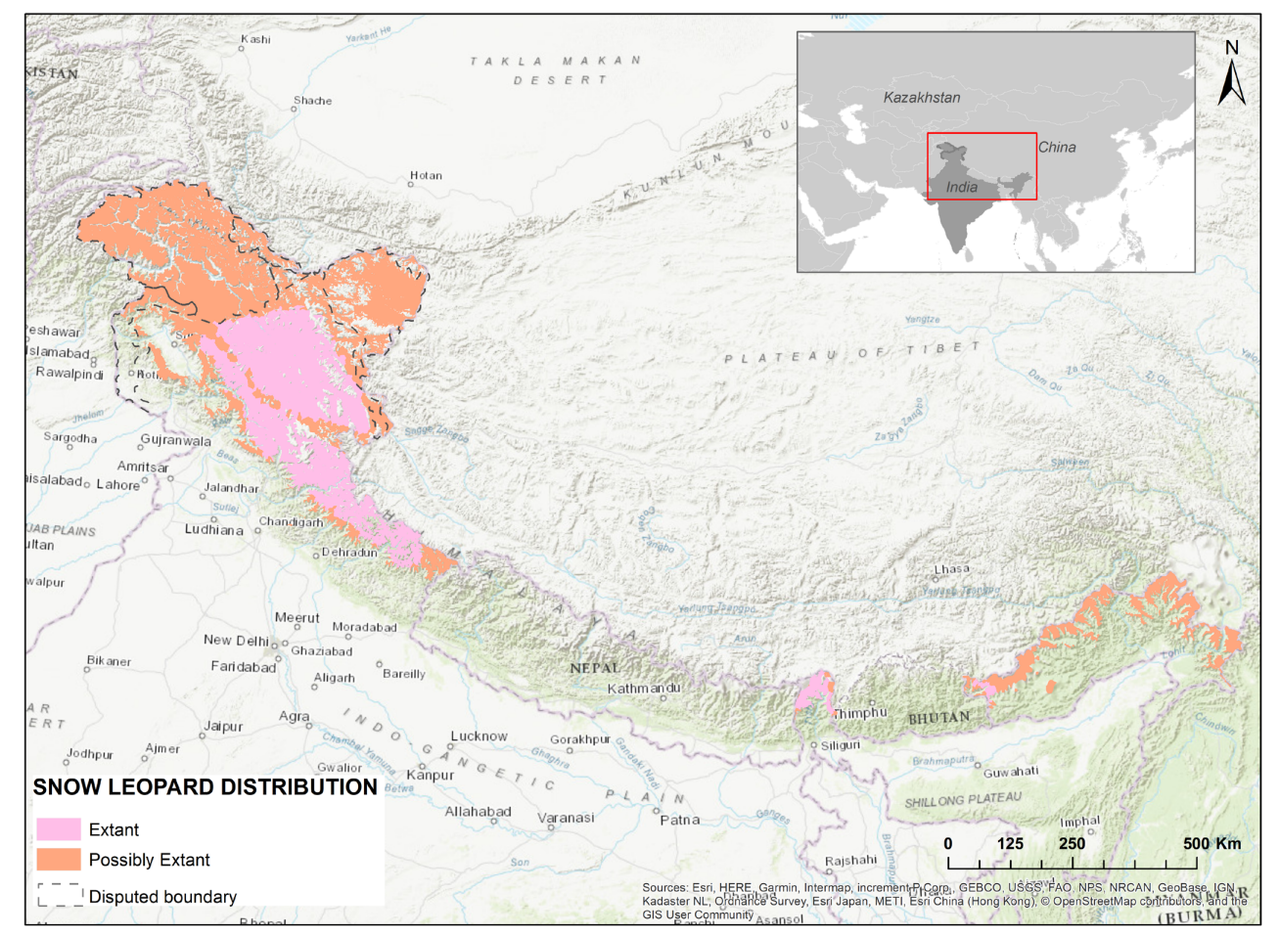How Much Snow Leopards Are Left in the World? Population, Range, and Conservation Status Snow Leopard Distribution in India