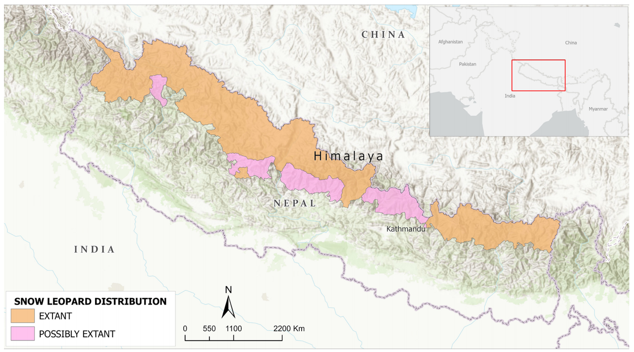 How Much Snow Leopards Are Left in the World? Population, Range, and Conservation Status Snow Leopard Distribution in Nepal
