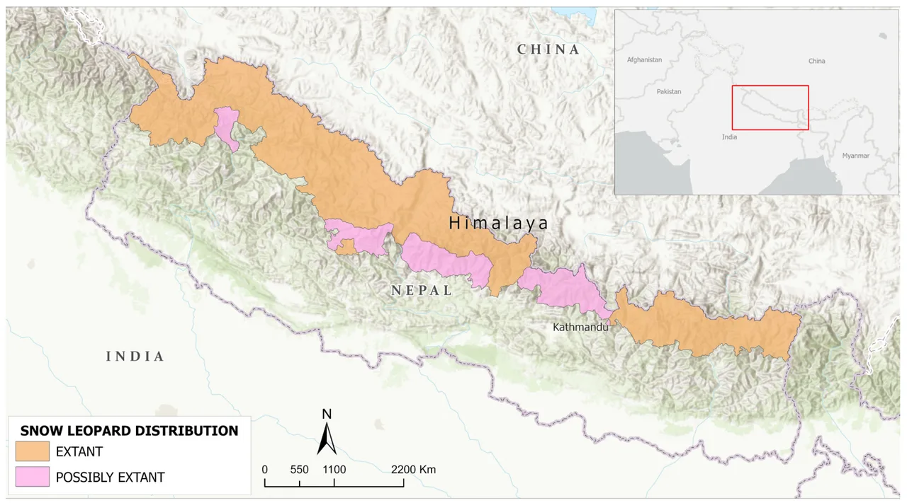 How Much Snow Leopards Are Left in the World? Population, Range, and Conservation Status Snow Leopard Distribution in Nepal