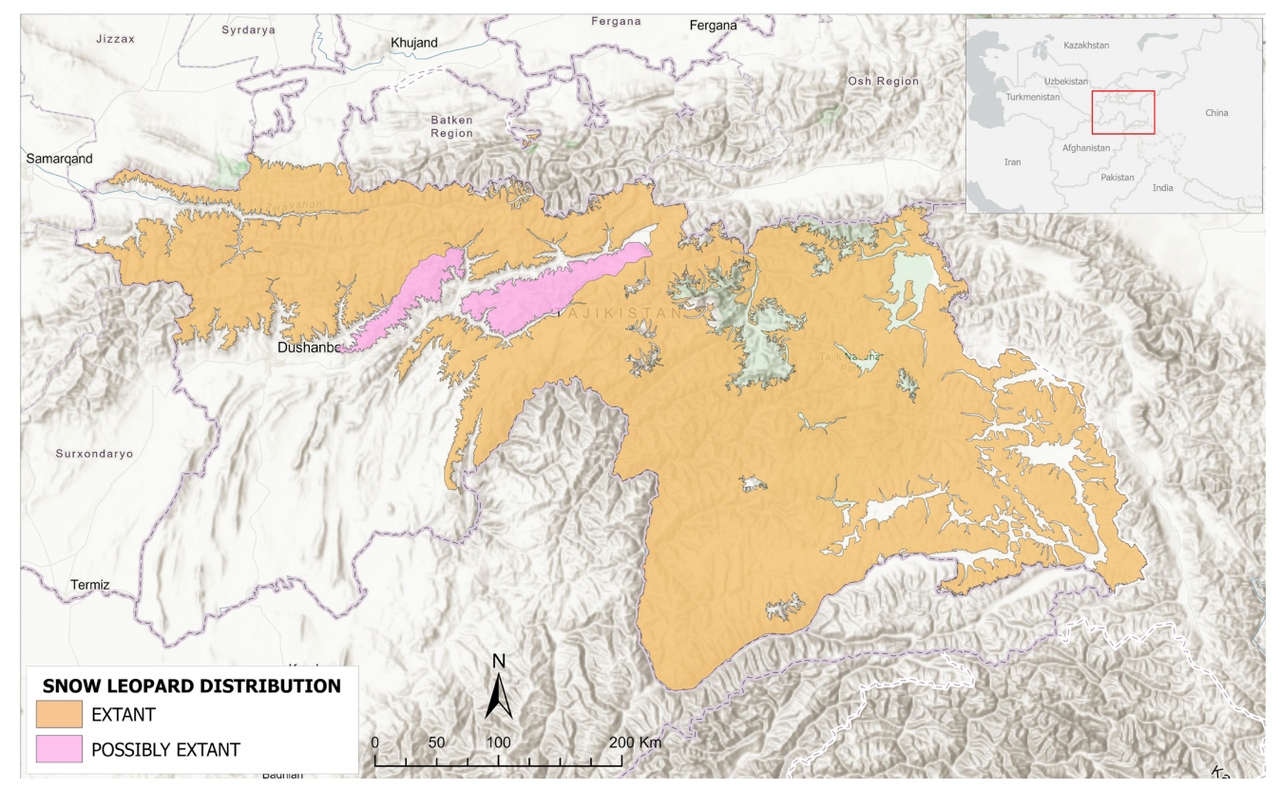 How Much Snow Leopards Are Left in the World? Population, Range, and Conservation Status Snow Leopard Distribution in Pakistan