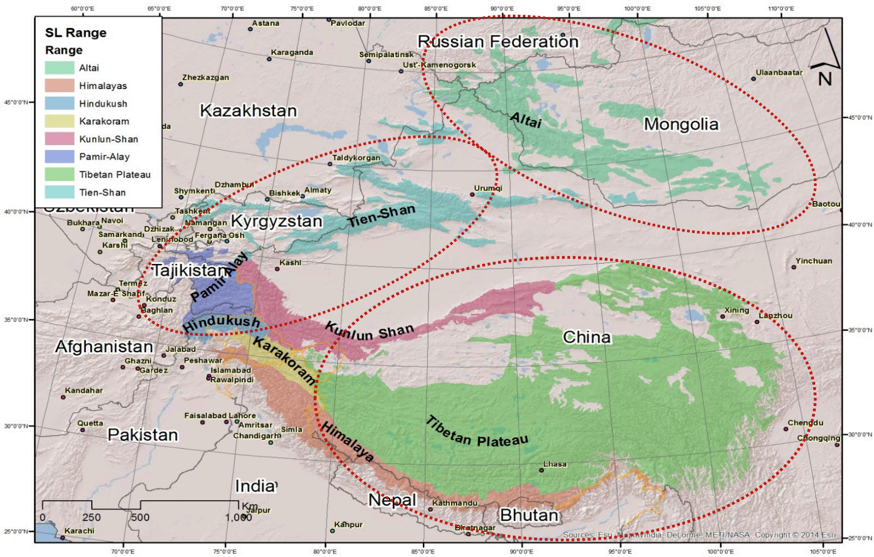 The three primary genetic clusters of snow leopards identified by Janecka et al.