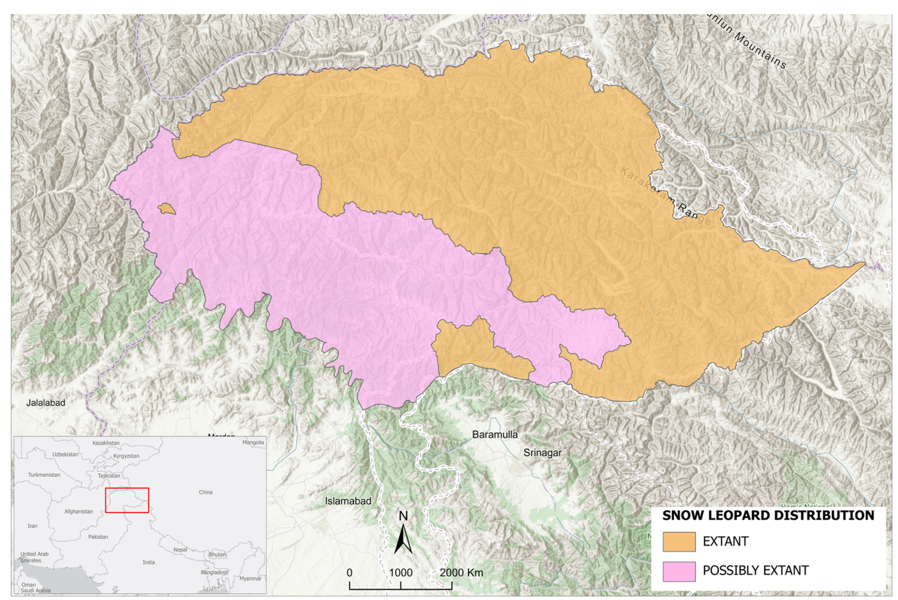 How Much Snow Leopards Are Left in the World? Population, Range, and Conservation Status Snow Leopard Distribution in Pakistan