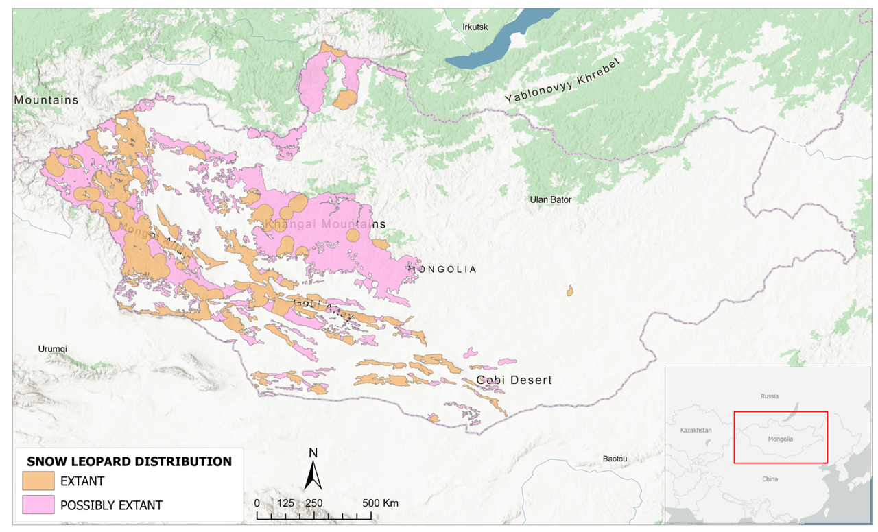 How Much Snow Leopards Are Left in the World? Population, Range, and Conservation Status Snow Leopard Distribution in Mongolia