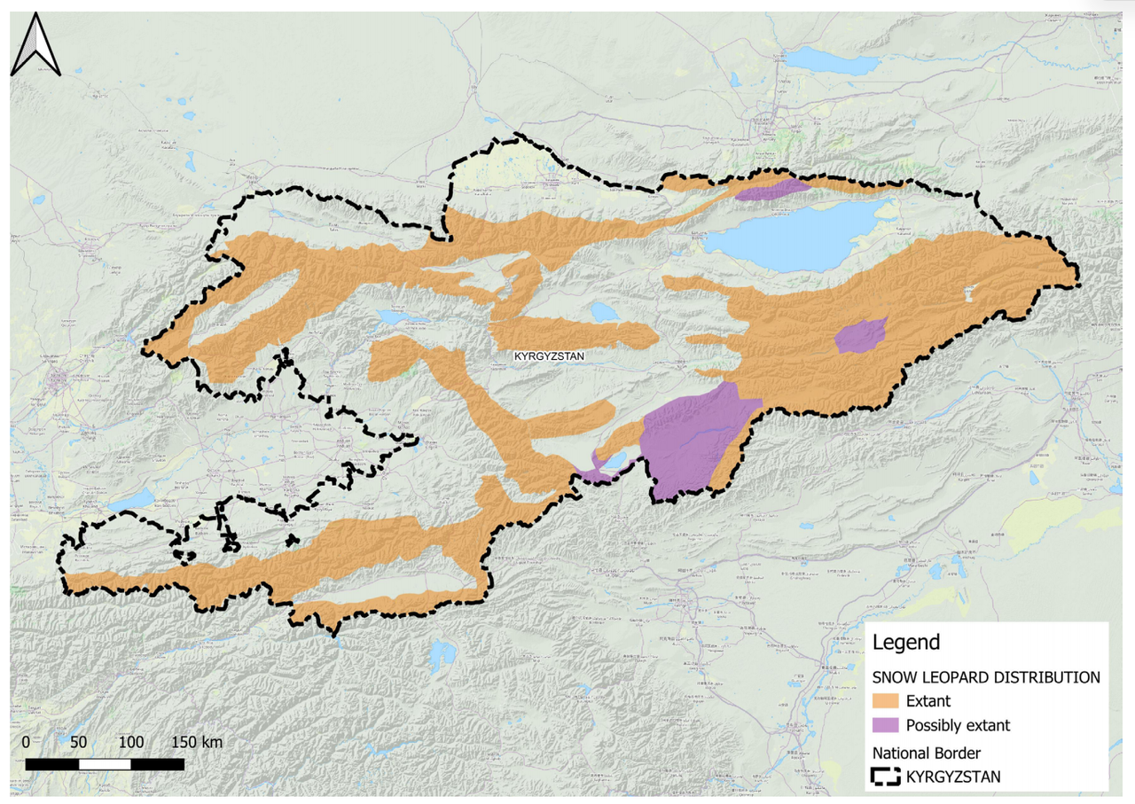 How Much Snow Leopards Are Left in the World? Population, Range, and Conservation Status Snow Leopard Distribution in Kyrgyzstan